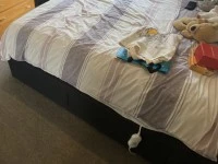 Queen bed