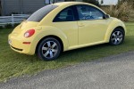 Vw Beetle