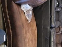Couch sofa  980 x 980 X 1950