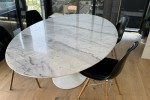 Tulip Oval Marble Dining table