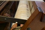 Kauri loom
