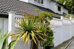 Deliver 2m Dragon Tree from Albany to Remuera