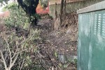 2 bedroom house move