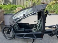 Riese and Muller Load 75 Vario Cargo Bike