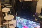 2 bedroom apartment move