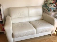 Leather Couch - Two Seater Freedom