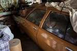 Holden Belmont