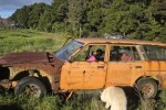 Datsun 180b