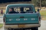Ford Ford 100
