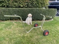 Go kart stand