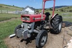 Massey fergusen 135 plus back blade, tray, FEL and mower.