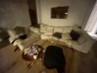 4+ bedroom house move