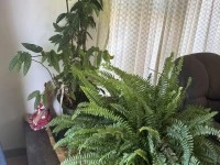 1 bedroom apartment move
