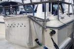 Motor boat Sea Ray