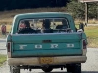 Ford Ford 100