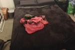 2 bedroom apartment move