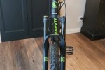 Avanti Hammer