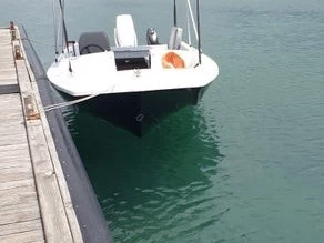 Motor boat Bow Rider on trailer