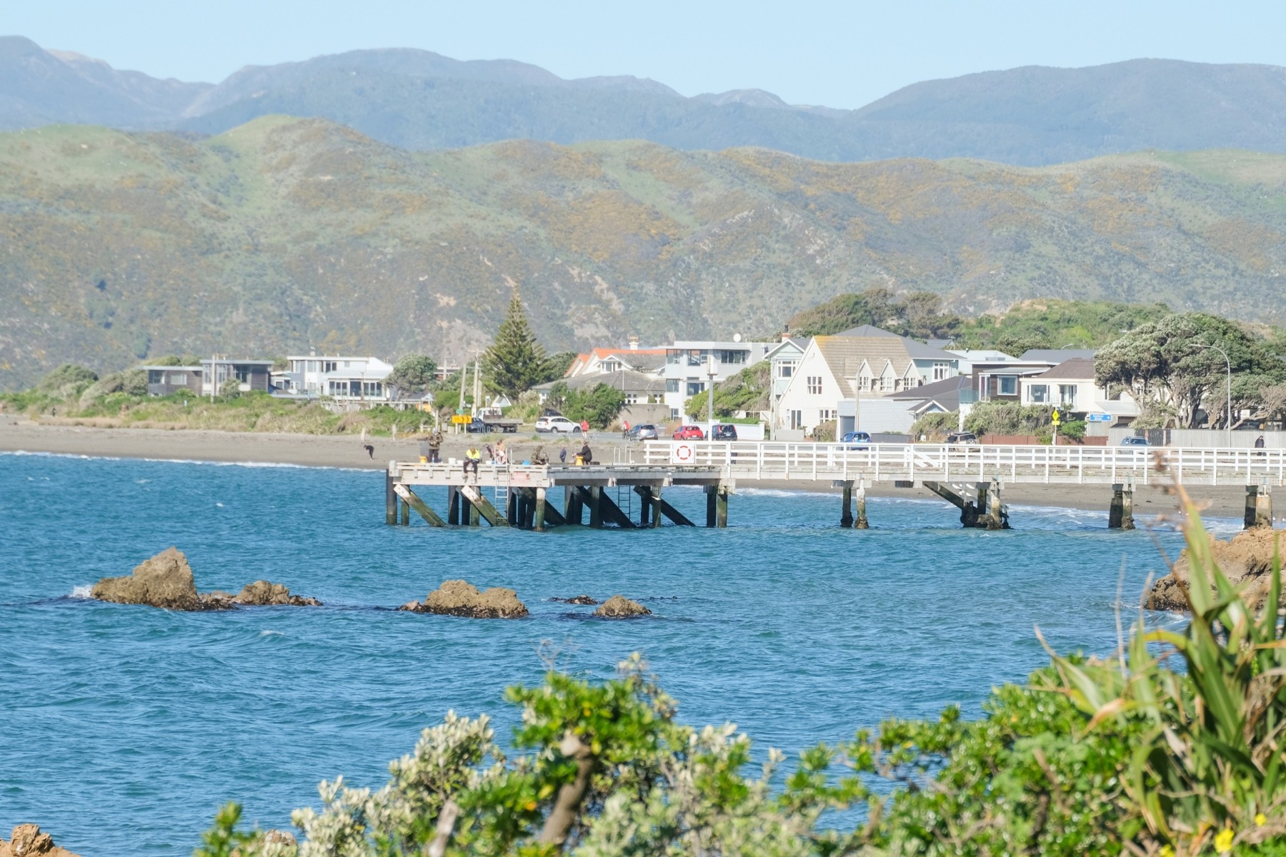 Seatoun, most expensive suburb in Wellington