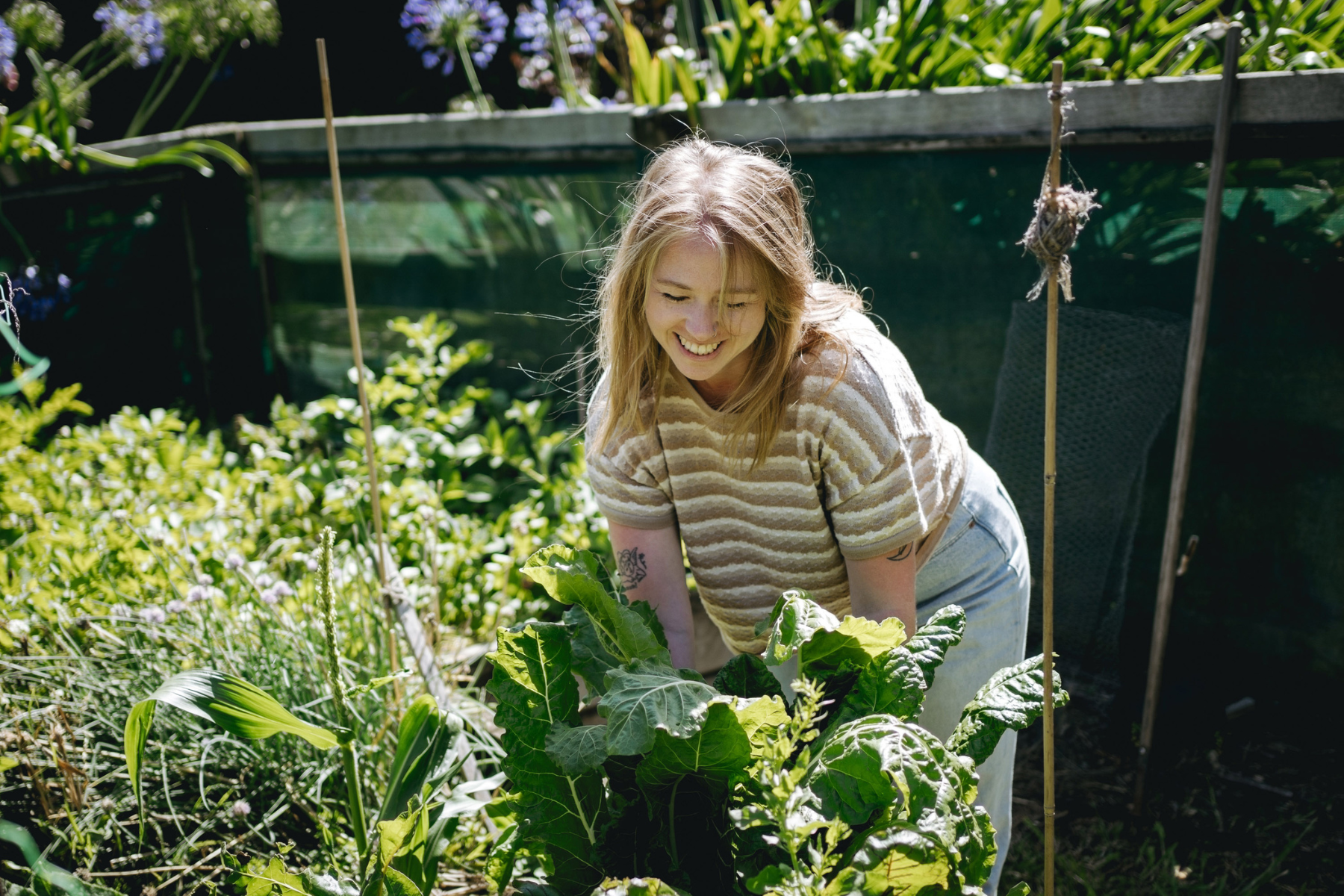 Woman tending leafy vegetables in a sunny home garden
