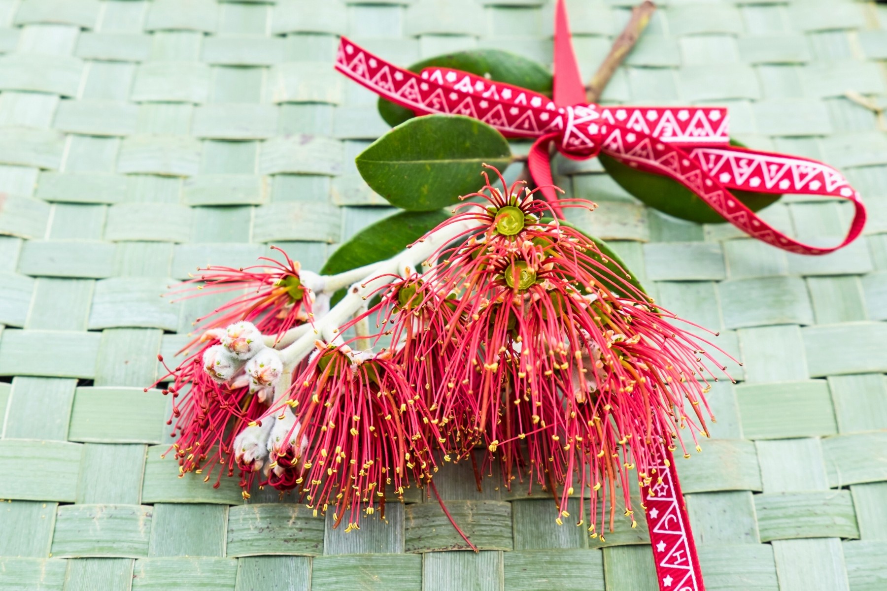 DIY Pohutukawa flower Christmas decorations New Zealand