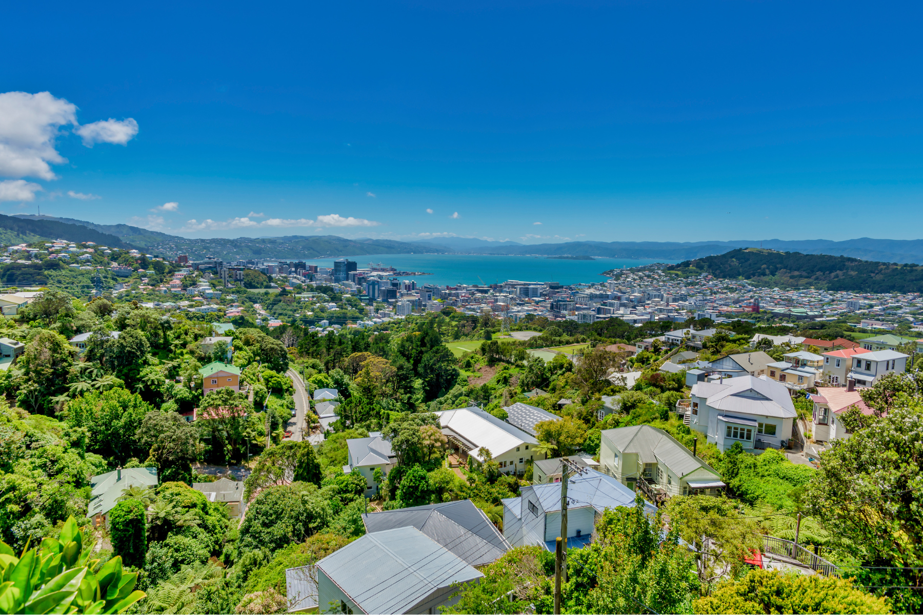 Scenic landscape view of beautiful idyllic houses nestled amongst trees in Thorndon suburb in capital city of Wellington