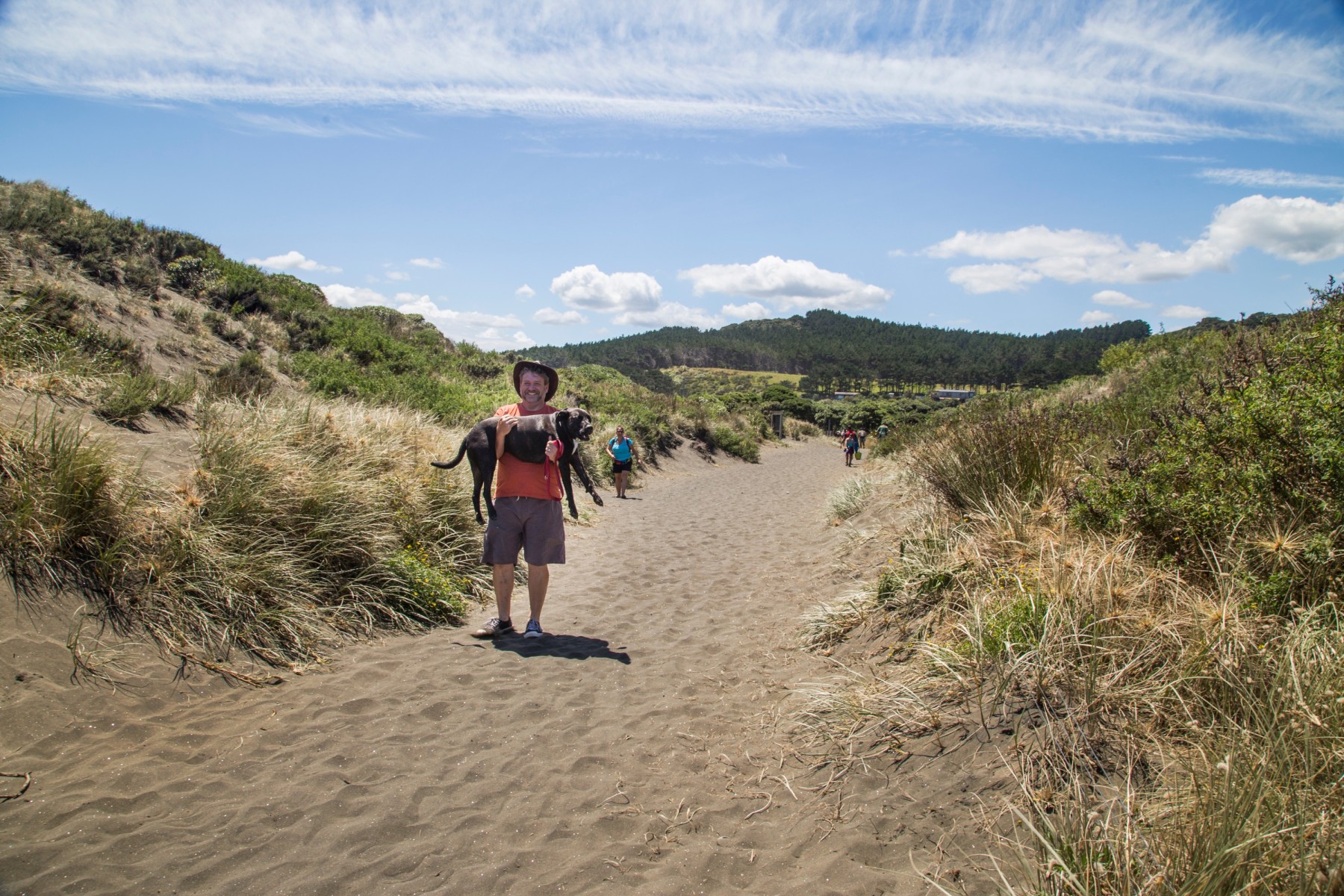 Accident-Only Pet Insurance New Zealand