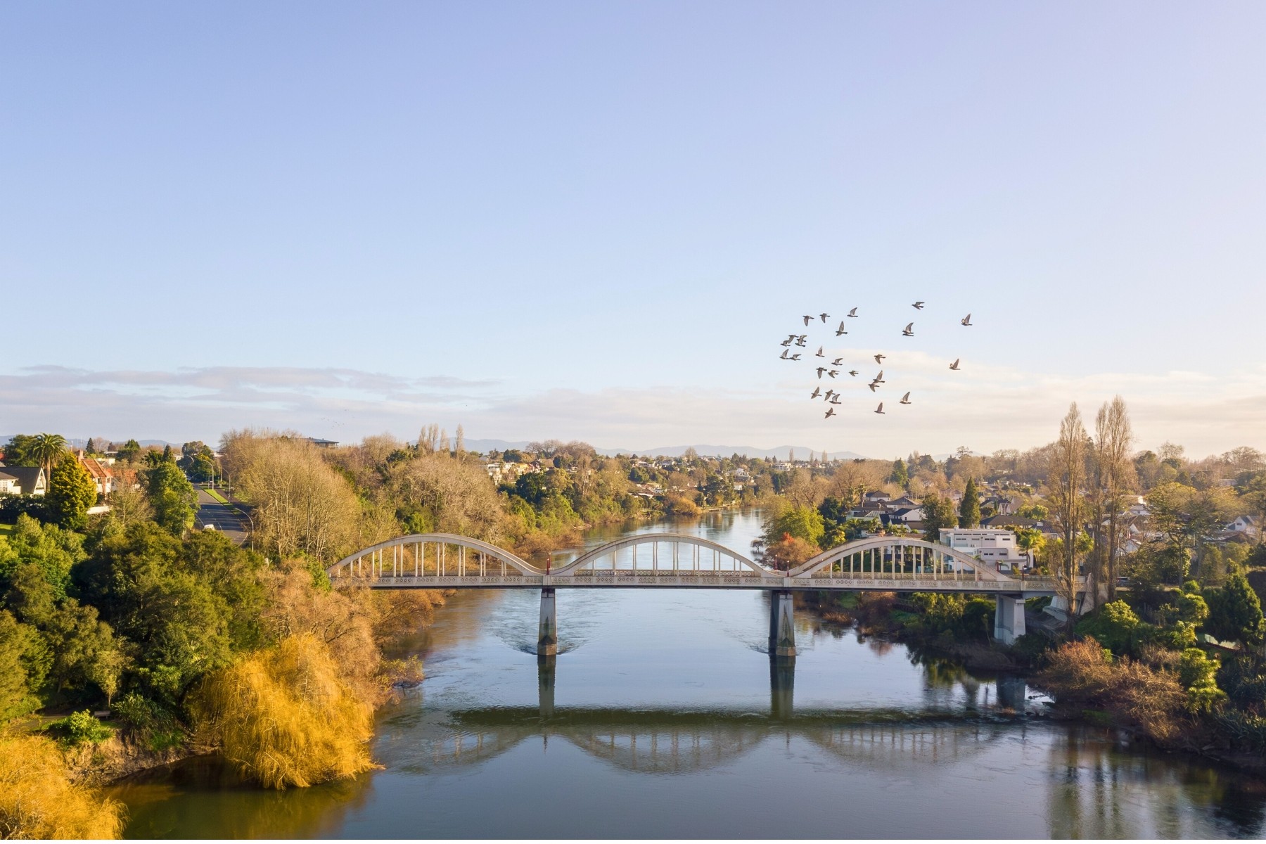 Bridge in Hamilton symbolising logistics and connectivity in the region