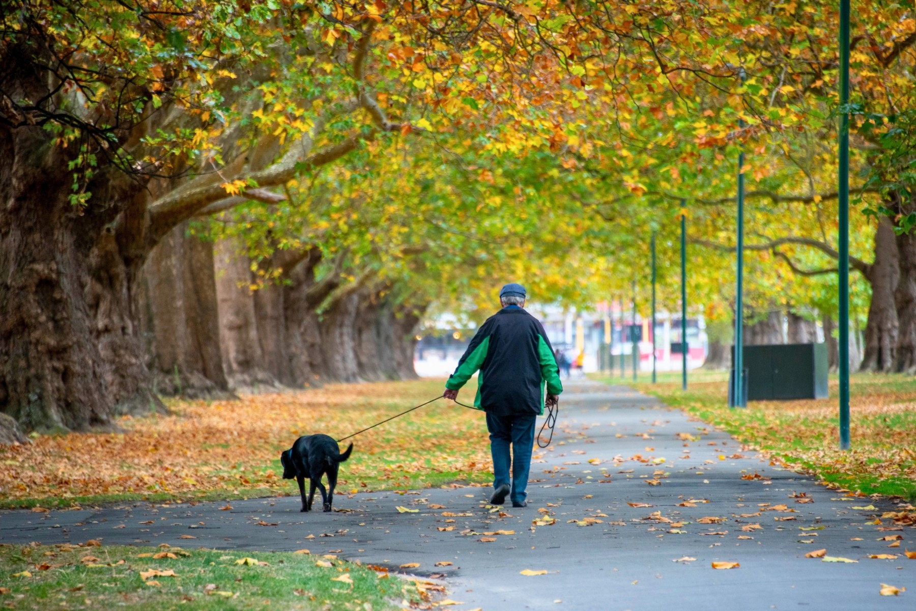 Enjoying parks, outdoors and weather in Christchurch