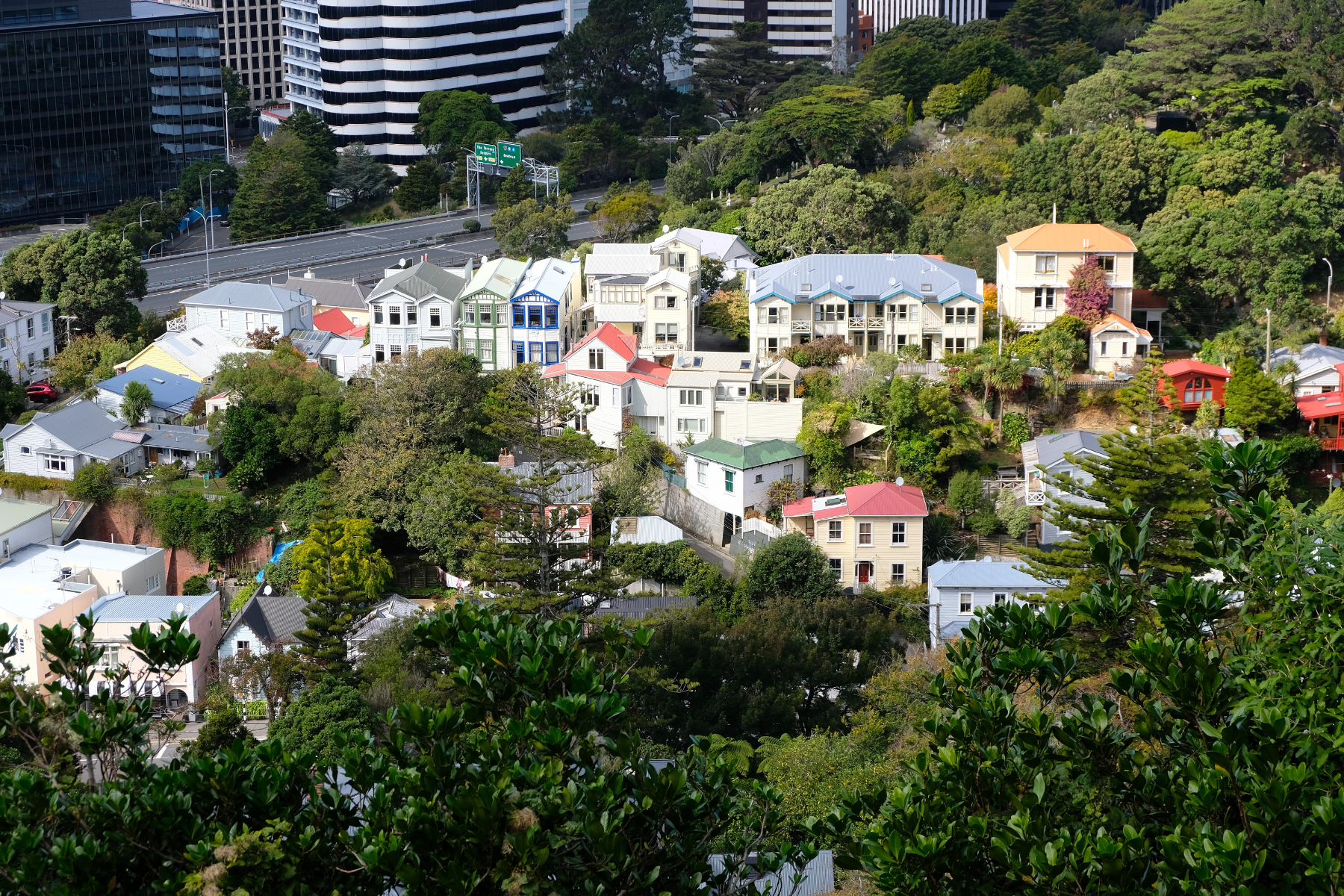 Scenic landscape view of beautiful idyllic houses nestled amongst trees in Thorndon suburb in capital city of Wellington