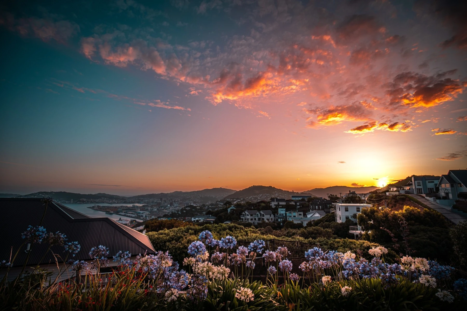 Khandallah, expensive suburb in Wellington