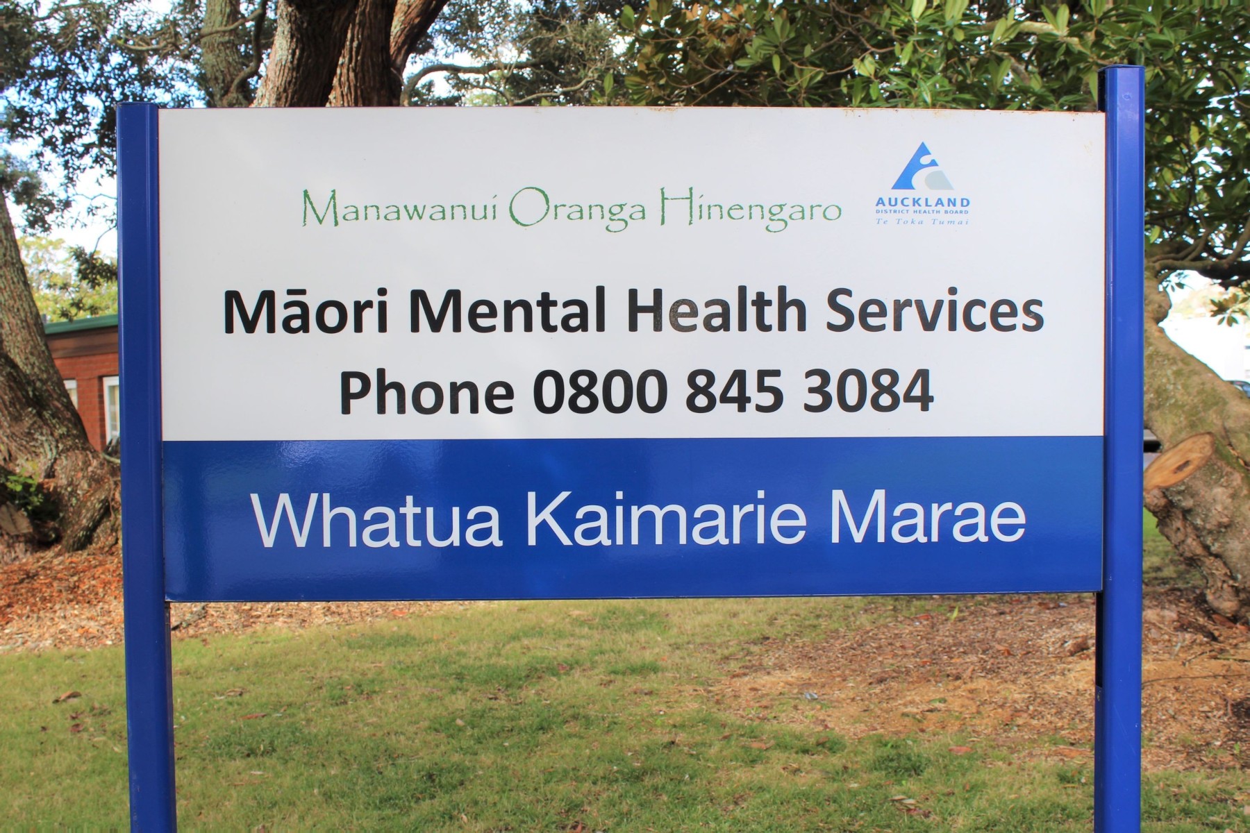 Mental health support New Zealand