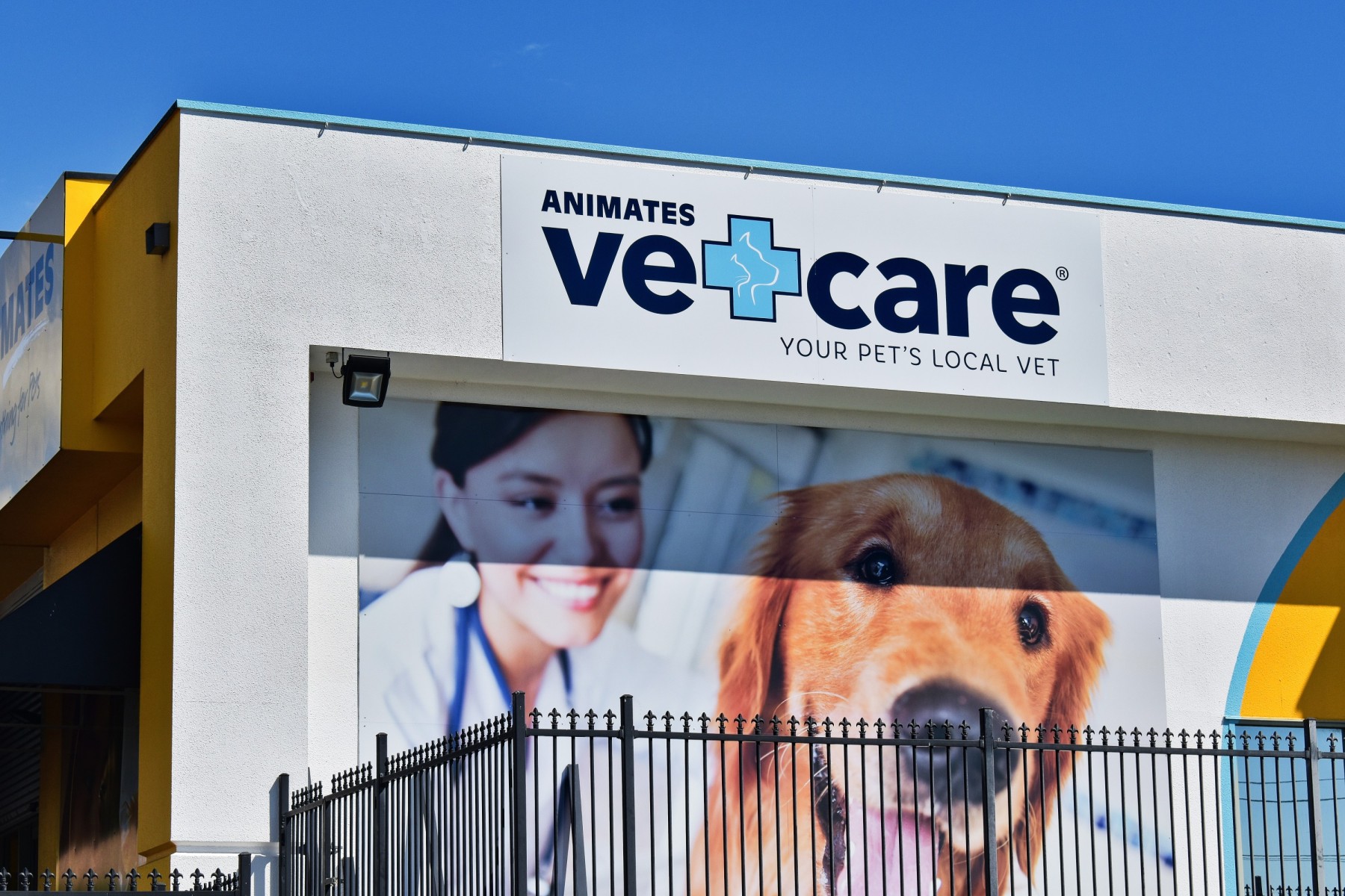 Vet bills New Zealand