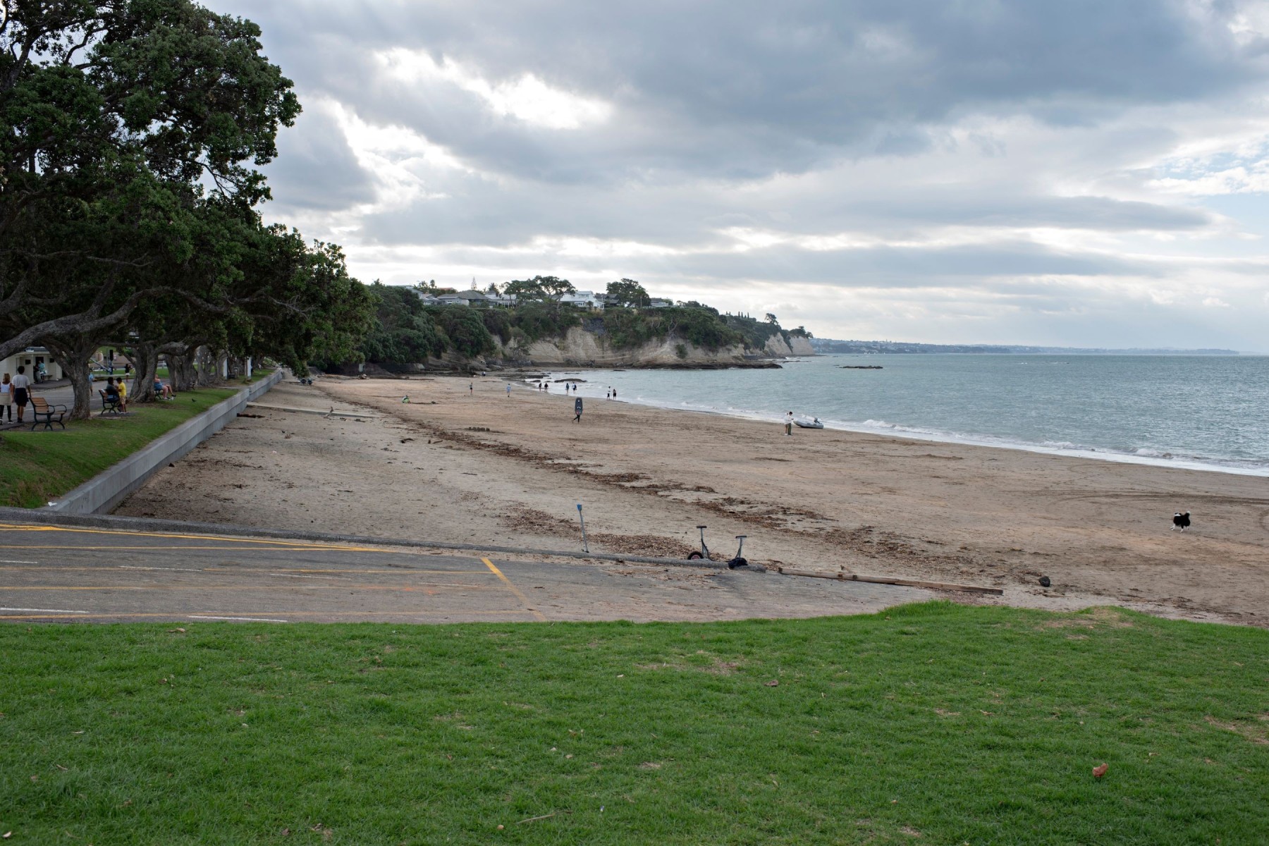 Narrow Neck Beach, North Shore