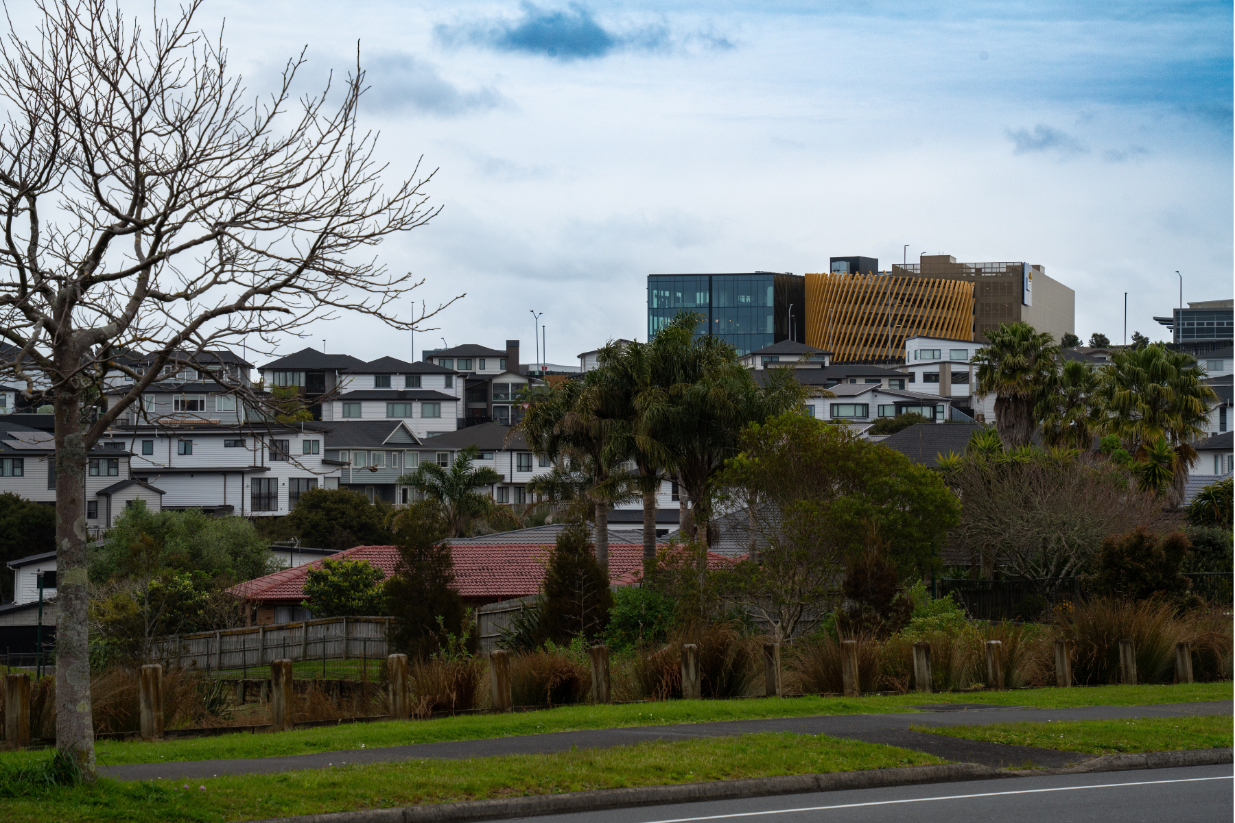 Views of Albany and surrounding areas, Auckland.