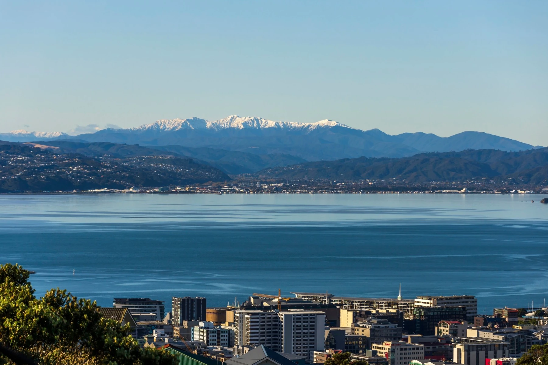 Winter in Wellington, New Zealand