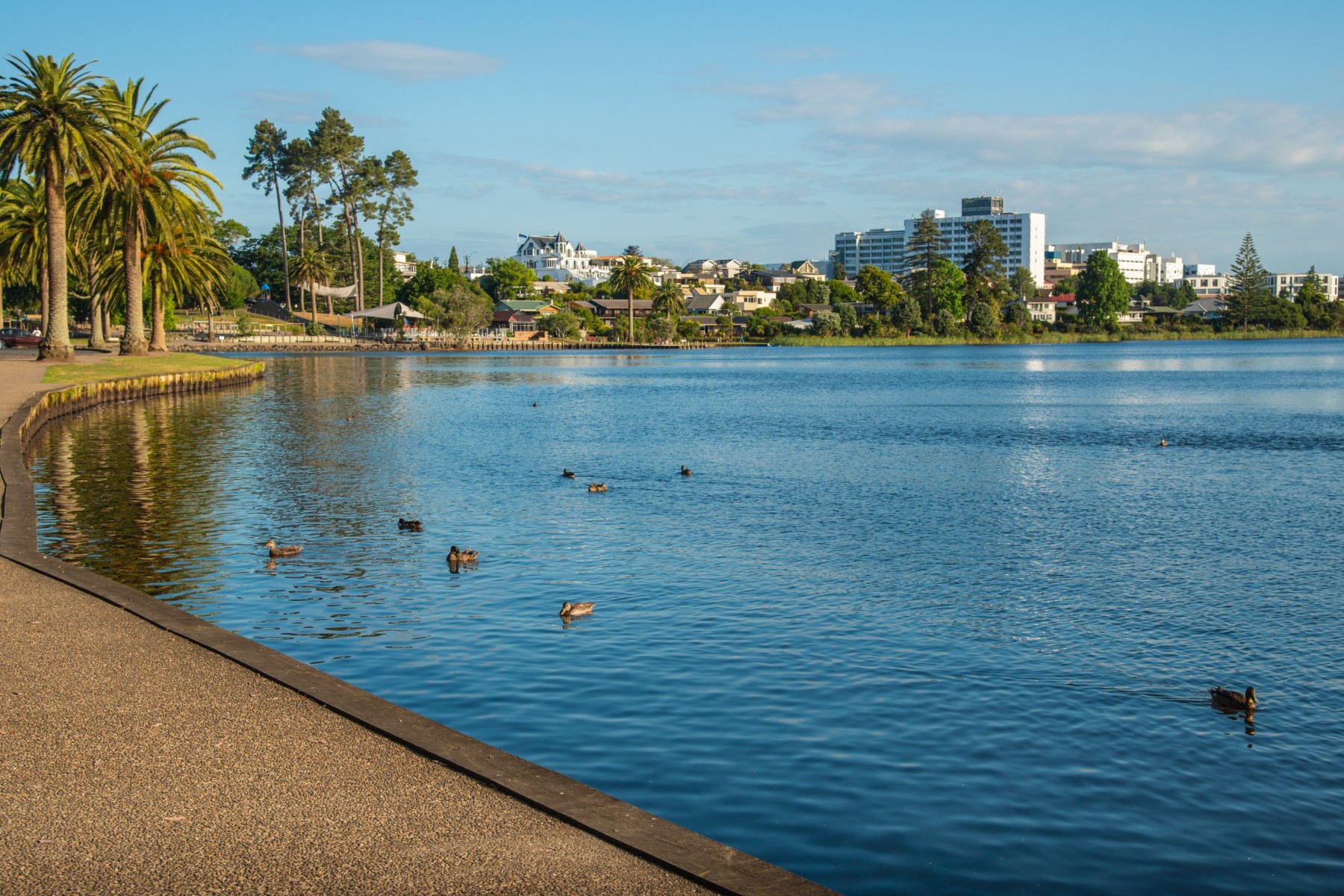 Reasons to move to Hamilton