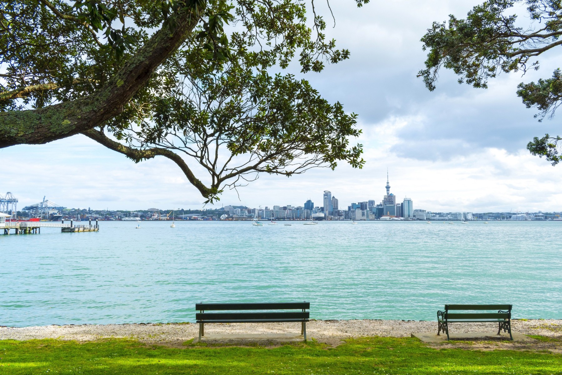 View of Auckland city from Stanley Point Beach