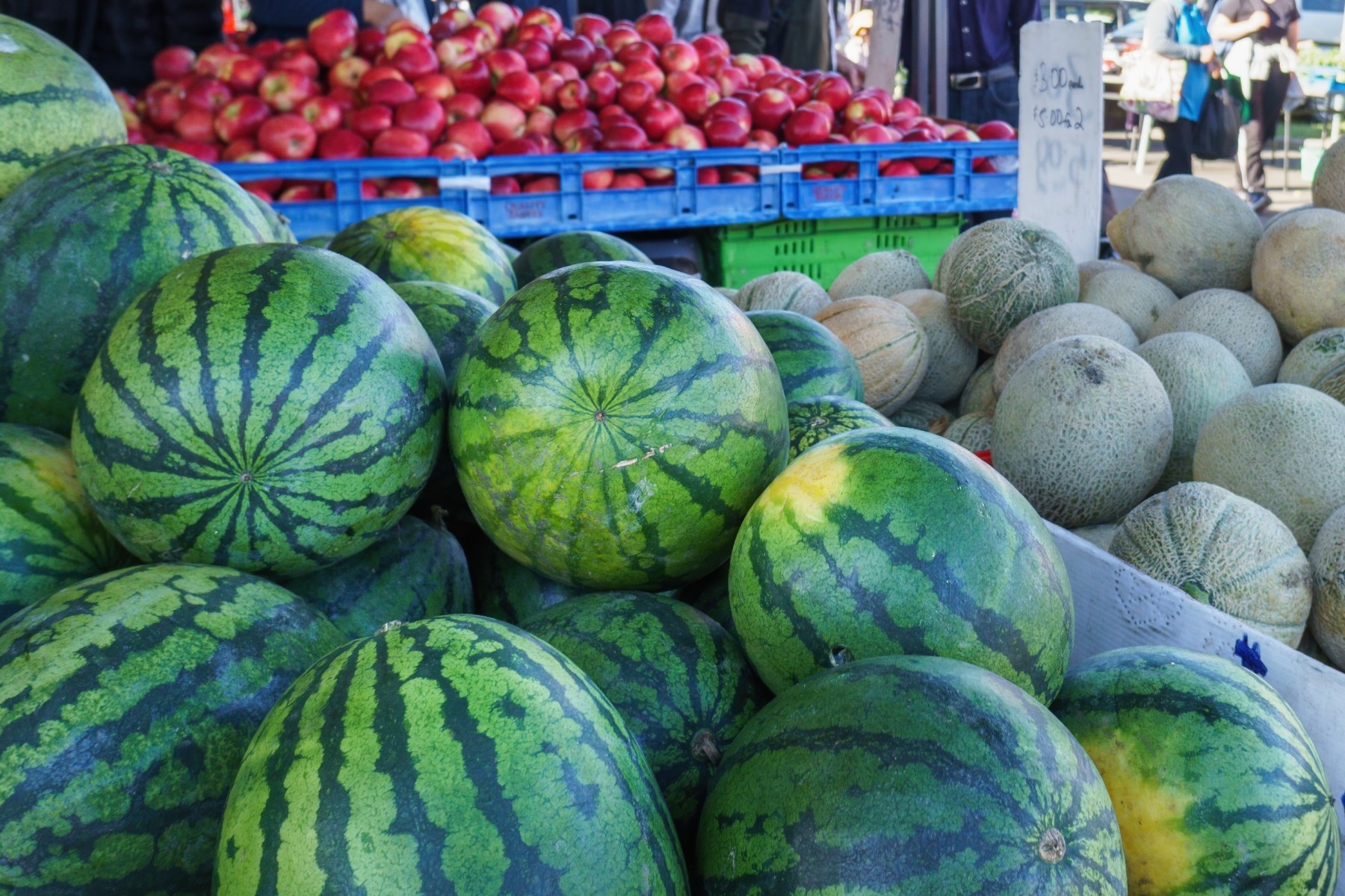 Fresh produce on display in a local market in New Zealand